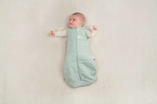 ergoPouch Otulacz Śpiworek 6-12M 2.5TOG - Śpiworki dla dzieci - miniaturka - grafika 3