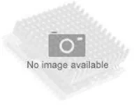 Procesory serwerowe - Intel Intel Xeon Processor E5-2603 v4 6C 1.7GHz 15MB 1866MHz 85W 00YJ203 - miniaturka - grafika 1