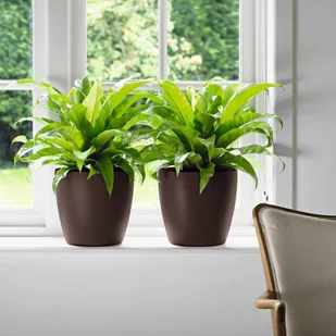 Lechuza Doniczka CLASSICO Color 28/26 piaskowy brąz - Donice - miniaturka - grafika 5