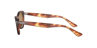 Ray Ban RB4314N 954/33 - Okulary przeciwsłoneczne Ray Ban RB4314N 954/33 - Okulary przeciwsłoneczne - miniaturka - grafika 3