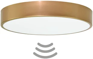 Euluna Lampa sufitowa Cleo 600, czujnik, 60 cm złota - Lampy sufitowe Euluna Lampa sufitowa Cleo 600, czujnik, 60 cm złota - Lampy sufitowe - miniaturka - grafika 2