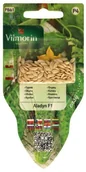 Nasiona i cebule - Vilmorin Ogórek gruntowy ALADYN - miniaturka - grafika 1