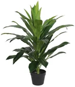 Sztuczne kwiaty - SPLENDID Dracena sztuczna w doniczce 80 cm SPLENDID - miniaturka - grafika 1