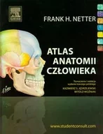 Książki medyczne - Urban & Partner Atlas anatomii człowieka - Netter Frank H. - miniaturka - grafika 1