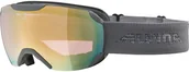 Gogle narciarskie - Alpina Pheos S QVMM Gogle, szary 2021 Gogle narciarskie 7242823 - miniaturka - grafika 1