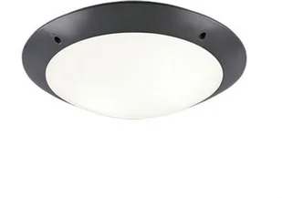 Camaro RL Antracyt E27 śr. 33cm IP54 Lampa sufitowa zewnętrzna RL R60502042 R60502042 - Lampy sufitowe - miniaturka - grafika 2