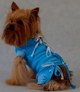 Grande Finale Grande Finale Koszulka pooperacyjna rozmiar 4 / 44cm niebieska - Przysmaki dla psów Grande Finale Grande Finale Koszulka pooperacyjna rozmiar 4 / 44cm niebieska - Przysmaki dla psów - miniaturka - grafika 1