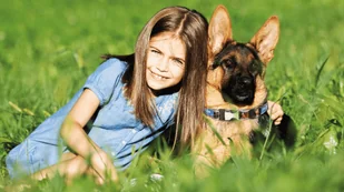 Frexin FREXIN Obroża insektobójcza dla psa 65 cm 46289-uniw - Artykuły przeciw pasożytom - miniaturka - grafika 3