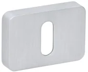 Szyldy i rozety - VDS ROZETA PROSTOKĄTNA POD KLUCZ KOLOR CHROM SZCZOTKOWANY R71 49-0202 - miniaturka - grafika 1