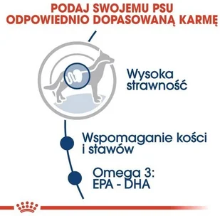 Royal Canin Size Maxi Adult karma mokra w sosie dla psów dorosłych, do 5 roku życia, ras dużych saszetka 140g 16429 - Mokra karma dla psów - miniaturka - grafika 4