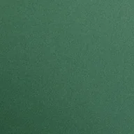 Papier do drukarek - Clairefontaine opakowanie, zielony (Tannengrün) 397279C - miniaturka - grafika 1