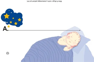 Zaczynam mówić - Filologia i językoznawstwo - miniaturka - grafika 4