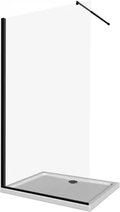 Deante Abelia  Walk-In 100 KTA N30P - Kabiny prysznicowe - miniaturka - grafika 4