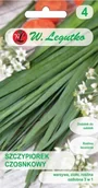 Nasiona i cebule - Legutko Szczypiorek czosnkowy 5903837514205 - miniaturka - grafika 1