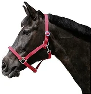 Akcesoria turystyczne - Kerbl KERBL Kantar Nylon uzda Classic, czerwony, 2, 32112 32112 - miniaturka - grafika 1