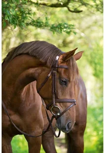 Kerbl Ogłowie wędzidłowe Classic, skóra, brązowe, rozmiar Full, 324913 - Ogłowia - miniaturka - grafika 3