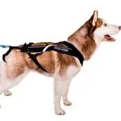Smycze dla psów - NON-stop dogwear NON-stop Freemotion, 10 - miniaturka - grafika 1