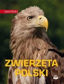 Książki o kulturze i sztuce - Zwierzęta Polski. Nasza Polska | ZAKŁADKA DO KSIĄŻEK GRATIS DO KAŻDEGO ZAMÓWIENIA - miniaturka - grafika 1