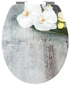 Deski sedesowe - Cornat KSDSC304 Art of Acryl deska toaletowa, powierzchnia akrylowa o wysokim połysku, drewniany środek, czarna, kolorowy - miniaturka - grafika 1