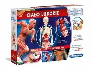 Clementoni Ciało ludzkie GXP-523099 - Mały naukowiec - miniaturka - grafika 5