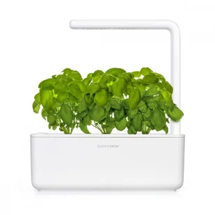 Click&Grow Kapsułki z nasionami Smart Soil 3 szt. bazylia 4742793007199 - Nasiona i cebule - miniaturka - grafika 6