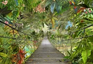 Fototapety - Komar Fototapeta Wild Bridge 8-977 8-977 - miniaturka - grafika 1