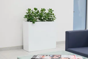 BARTPOL Sp. z o.o. Donica z włókna szklanego D272B antracyt mat D272B/MAT.ANTHR - Donice - miniaturka - grafika 5