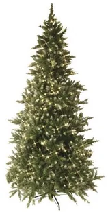 Best Season diody LED drzewko bożonarodzeniowe Vancouver około 225 x 135 cm, zielony z białym czubkami z transformatorem, 550 ciepła biel Pisello z metalową podstawą LED Outdoor 608  60 608-60 - Pozostałe oświetlenie - miniaturka - grafika 2