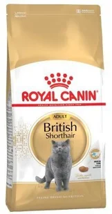 Royal Canin British Shorthair drób 10 kg - Mokra karma dla kotów - miniaturka - grafika 6
