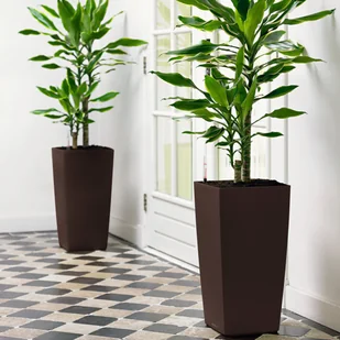 Lechuza Donica CUBICO Color 40/40/75 piaskowy brąz - Donice - miniaturka - grafika 8