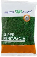 Trawy i trawniki - Najlepsze Trawy z Iławy Trawa renowacyjna SUPER RENO 0,5 kg - miniaturka - grafika 1