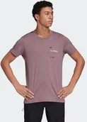 Odzież trekkingowa męska - adidas Terrex Graphic Tee FI2420 Męskie Piesze wedrówki - miniaturka - grafika 1