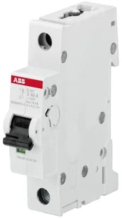 ABB Wyłącznik nadprądowy 1P Z 4A 6kA AC S201-Z4 2CDS251001R0338 - Bezpieczniki elektryczne ABB Wyłącznik nadprądowy 1P Z 4A 6kA AC S201-Z4 2CDS251001R0338 - Bezpieczniki elektryczne - miniaturka - grafika 1