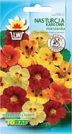 Nasiona i cebule - Toraf KWIATY Nasturcja karłowa mix nasiona 5g 00444 - miniaturka - grafika 1