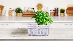 Lumarko Lumarko Koszyk wiklinowy 30x20x15 cm biały KOSZYK 30X20X15 BIAŁ  Goc - Kosze wiklinowe - miniaturka - grafika 6