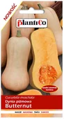 Nasiona i cebule - Plantico Dynia piżmowa Butternat 2g - miniaturka - grafika 1