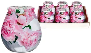 Bispol świeca w szkle B-lite sn72s-01 piwonia 5906927025711 - Świece - miniaturka - grafika 2