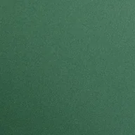 Papier do drukarek - Clairefontaine 97456 °C arkuszy FOTOKARTON Pack, 25 Premium, DIN A4, 21 x 29.7 cm, 300 G, antyczna zieleń 97479 - miniaturka - grafika 1