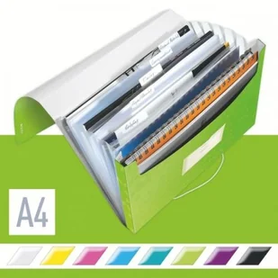 Esselte TECZKA Z GUMKA PP A4/30MM/6PRZ LTZ WOW ZIE J. - Teczki i skoroszyty - miniaturka - grafika 3