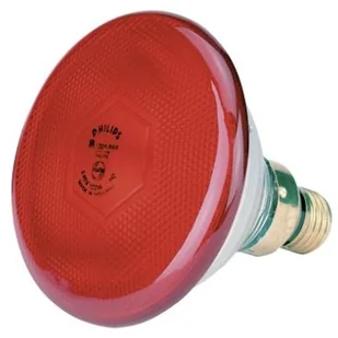 Philips KERBL lamben oszczędzania na podczerwień firmy 22303 - Pozostałe oświetlenie Philips KERBL lamben oszczędzania na podczerwień firmy 22303 - Pozostałe oświetlenie - miniaturka - grafika 1