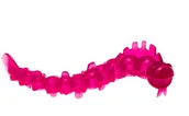 Zabawki dla psów - Axentia Axentia Zabawka dla psa Worm - miniaturka - grafika 1