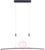 Lampy sufitowe - Paul Neuhaus Janina lampa wisząca LED CCT antracyt - miniaturka - grafika 1