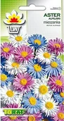 Nasiona i cebule - Toraf KWIATY Aster Alpejski mix nasiona 0,5g 00312 - miniaturka - grafika 1