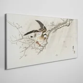Obrazy i zdjęcia - PL Coloray Obraz Canvas Gałąź Zwierzęta Ptaki 100x50cm - miniaturka - grafika 1