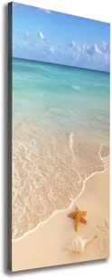 Foto obraz na płótnie Rozgwiazda na plaży - Obrazy i zdjęcia - miniaturka - grafika 9