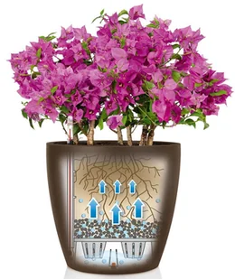 Lechuza Donica Classico Color 43 ALL-IN-ONE, muszkatołowa, 13243 - Donice - miniaturka - grafika 6