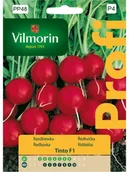 Nasiona i cebule - Vilmorin Rzodkiewka TINTO - miniaturka - grafika 1
