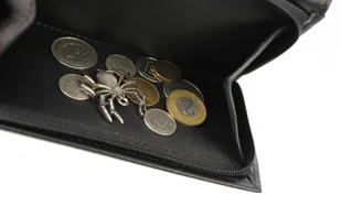 PolskaGalanteria.pl Portfel Damski Skórzany PolskaGalanteria 15 cm Suwak Skóra Naturalna KP D1411 CZARNY Z WSTAWKĄ Skóra Węża - Portfele - miniaturka - grafika 8