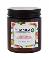 Świece - Air Wick Botanica Moroccan Mint & Pink Grapefruit świeczka zapachowa 205 g unisex - miniaturka - grafika 1