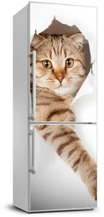 Naklejka samoprzylepna na lodówkę ścianę Kot - Naklejki na drzwi i meble - miniaturka - grafika 2